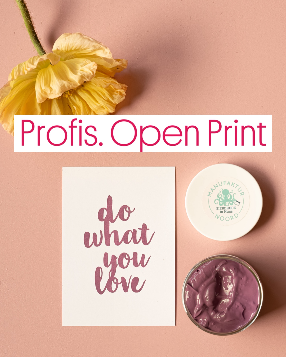 Profi.Open Studio 2.6.2026